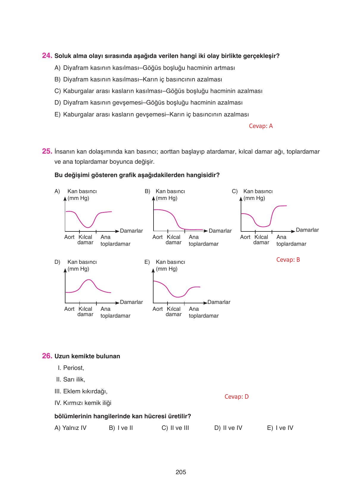 11. Sınıf Tutku Yayıncılık Biyoloji Ders Kitabı Sayfa 205 Cevapları