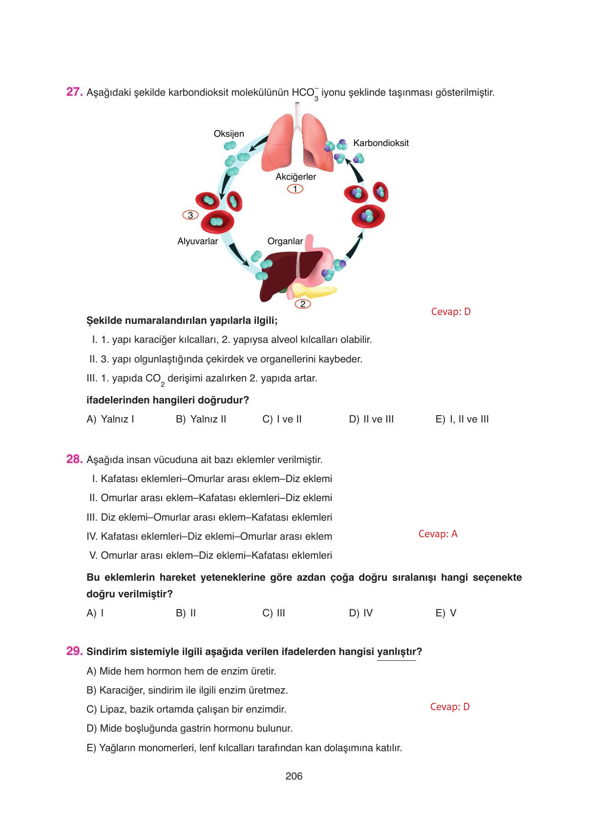 11. Sınıf Tutku Yayıncılık Biyoloji Ders Kitabı Sayfa 206 Cevapları 11. Sınıf Tutku Yayıncılık Biyoloji Ders Kitabı Sayfa 206 Cevapları