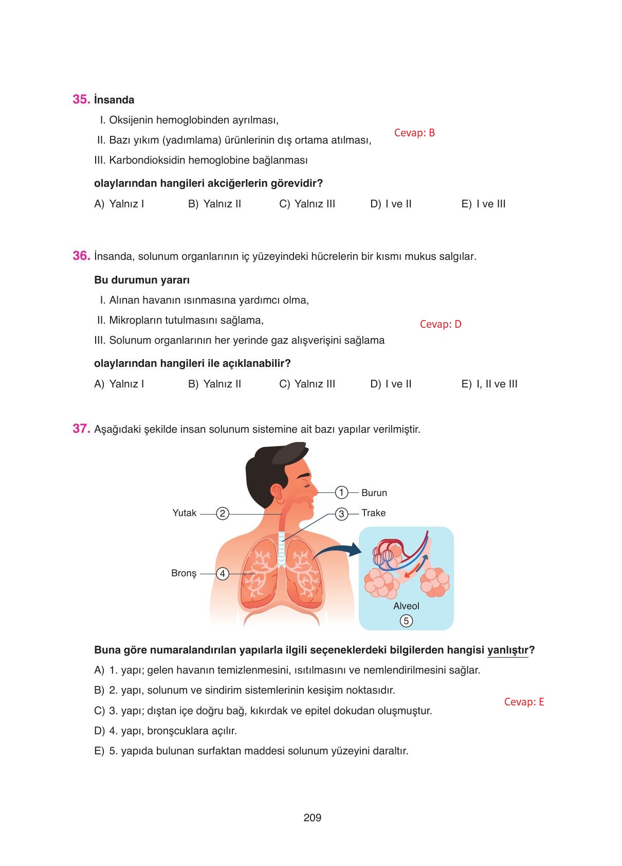 11. Sınıf Tutku Yayıncılık Biyoloji Ders Kitabı Sayfa 209 Cevapları