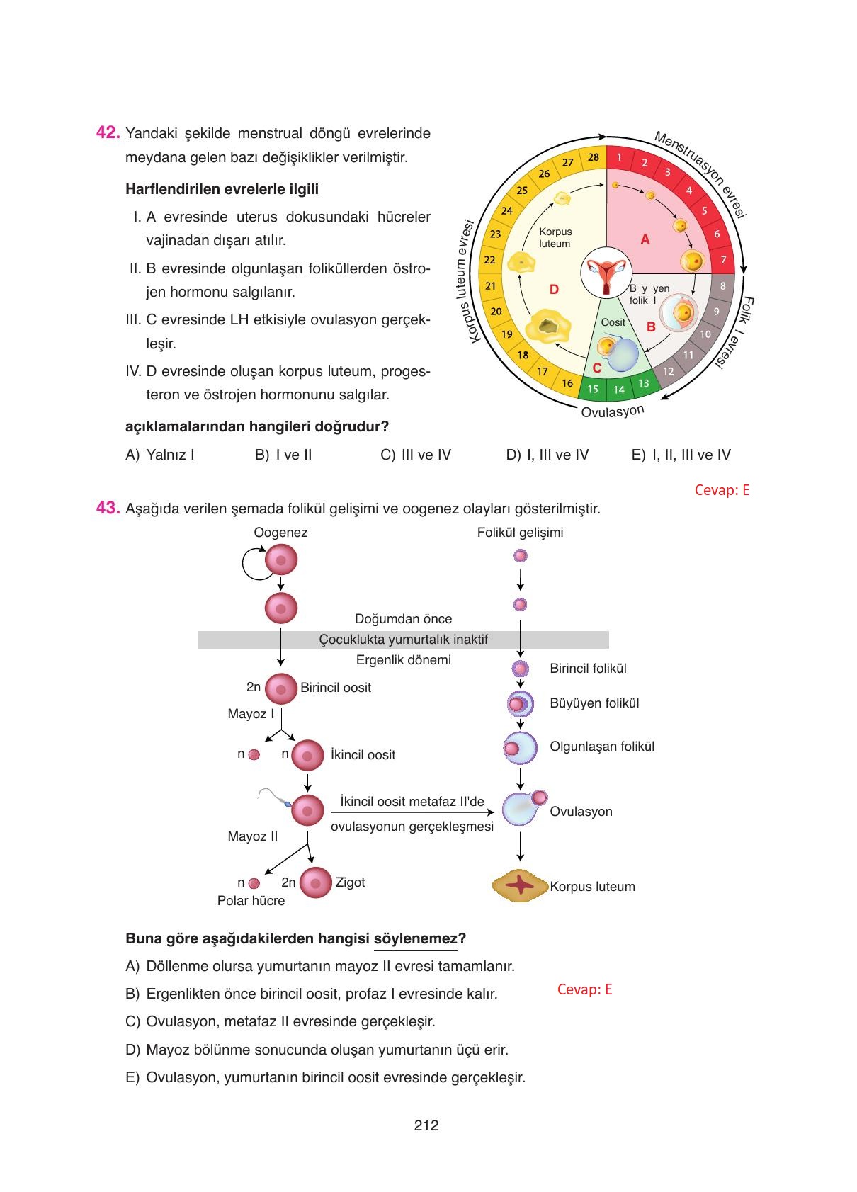 11. Sınıf Tutku Yayıncılık Biyoloji Ders Kitabı Sayfa 212 Cevapları