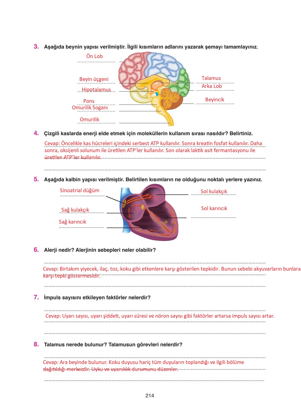11. Sınıf Tutku Yayıncılık Biyoloji Ders Kitabı Sayfa 214 Cevapları 11. Sınıf Tutku Yayıncılık Biyoloji Ders Kitabı Sayfa 214 Cevapları