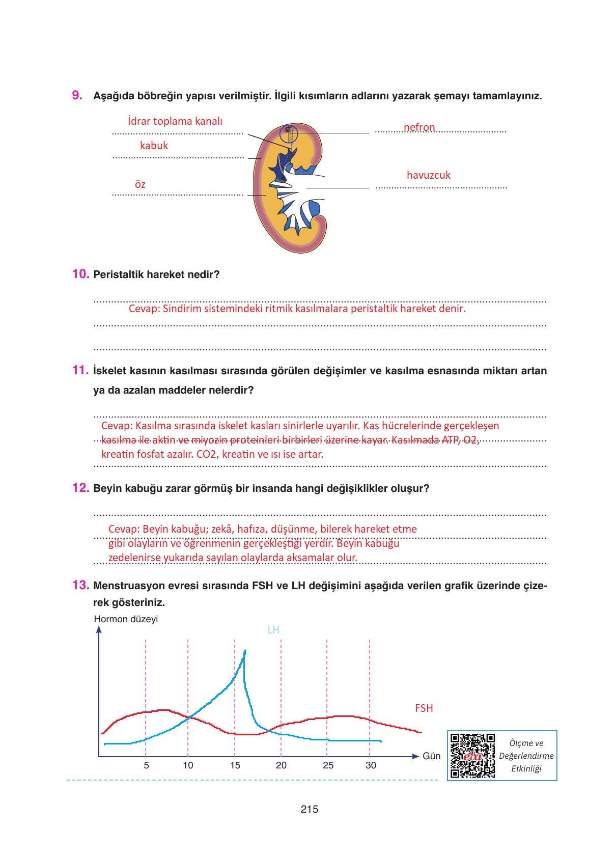 11. Sınıf Tutku Yayıncılık Biyoloji Ders Kitabı Sayfa 215 Cevapları