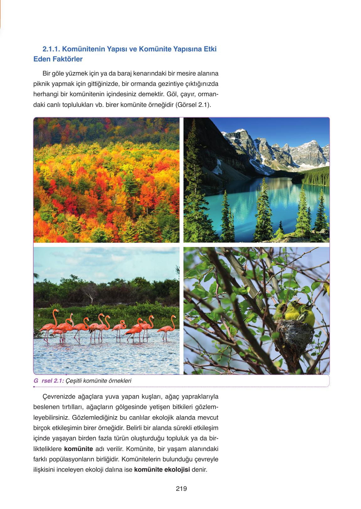 11. Sınıf Tutku Yayıncılık Biyoloji Ders Kitabı Sayfa 219 Cevapları 11. Sınıf Tutku Yayıncılık Biyoloji Ders Kitabı Sayfa 219 Cevapları