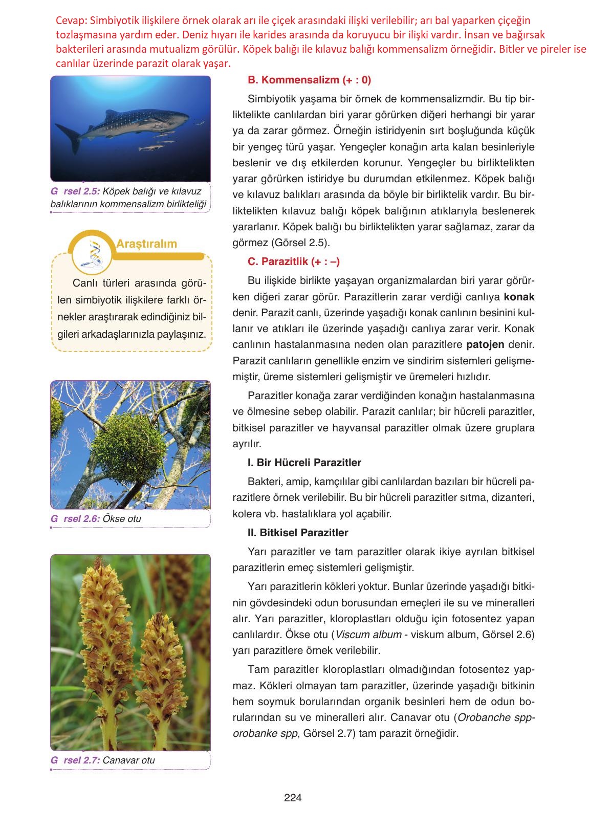 11. Sınıf Tutku Yayıncılık Biyoloji Ders Kitabı Sayfa 224 Cevapları 11. Sınıf Tutku Yayıncılık Biyoloji Ders Kitabı Sayfa 224 Cevapları