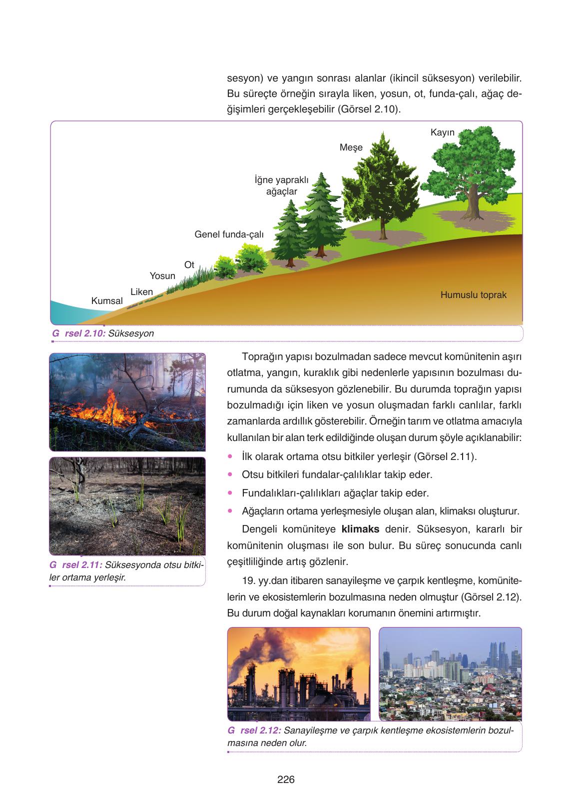 11. Sınıf Tutku Yayıncılık Biyoloji Ders Kitabı Sayfa 226 Cevapları