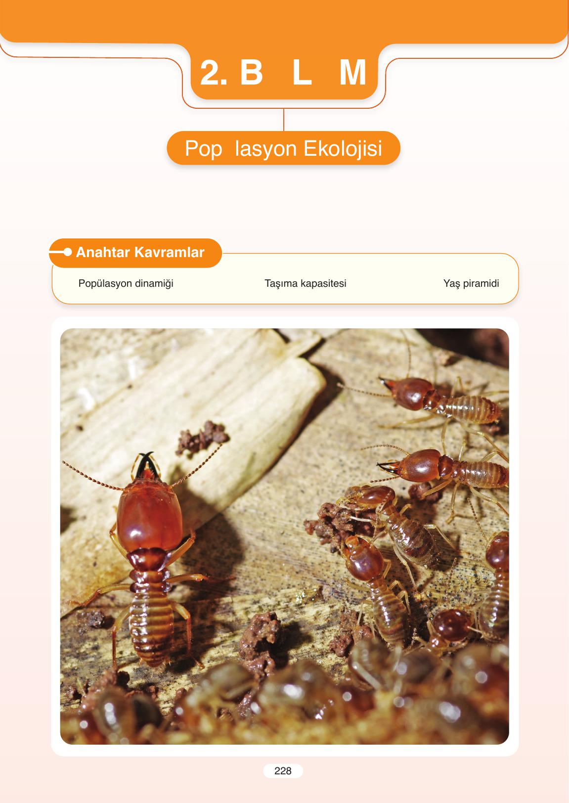 11. Sınıf Tutku Yayıncılık Biyoloji Ders Kitabı Sayfa 228 Cevapları 11. Sınıf Tutku Yayıncılık Biyoloji Ders Kitabı Sayfa 228 Cevapları