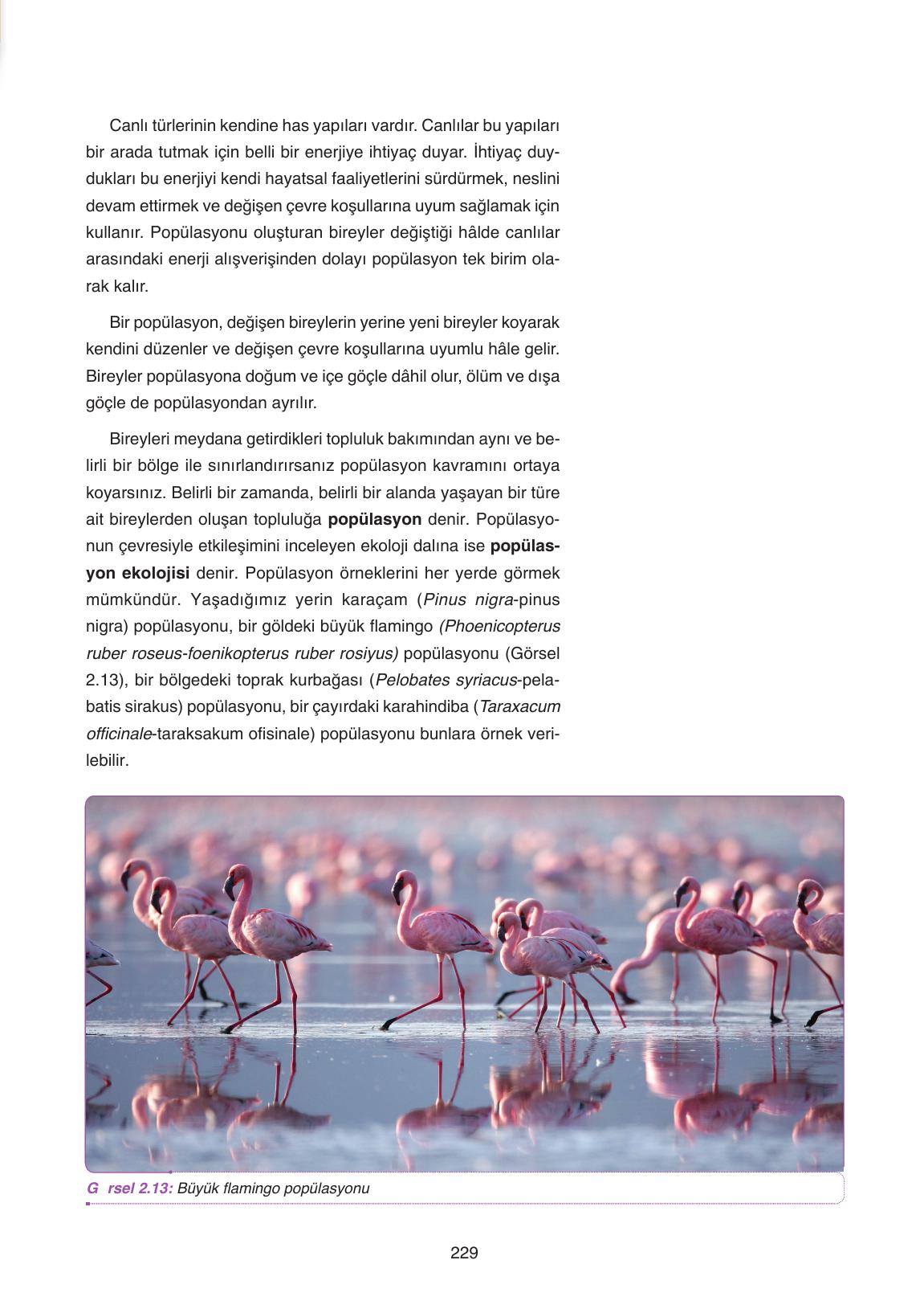 11. Sınıf Tutku Yayıncılık Biyoloji Ders Kitabı Sayfa 229 Cevapları