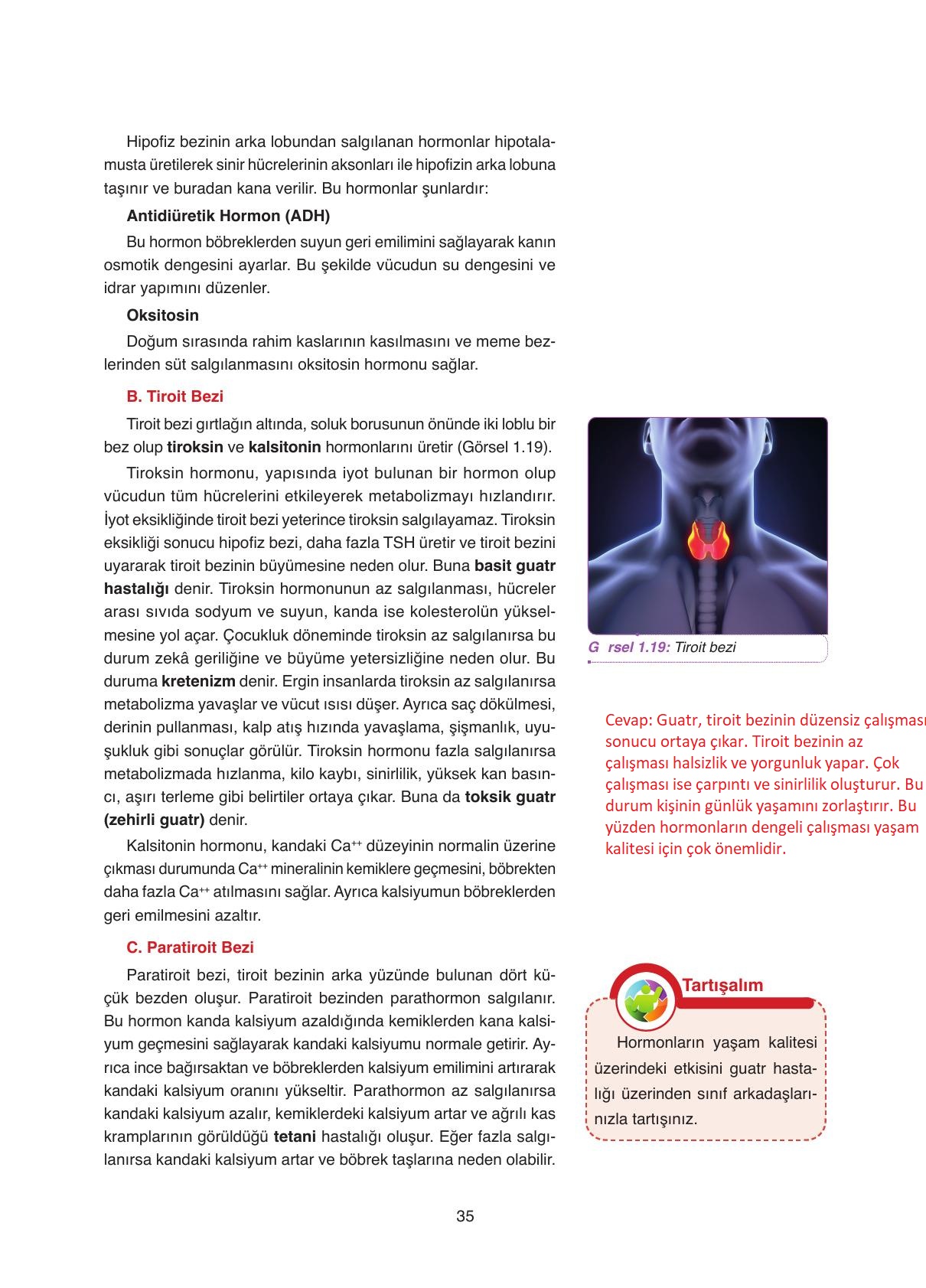 11. Sınıf Tutku Yayıncılık Biyoloji Ders Kitabı Sayfa 35 Cevapları 11. Sınıf Tutku Yayıncılık Biyoloji Ders Kitabı Sayfa 35 Cevapları