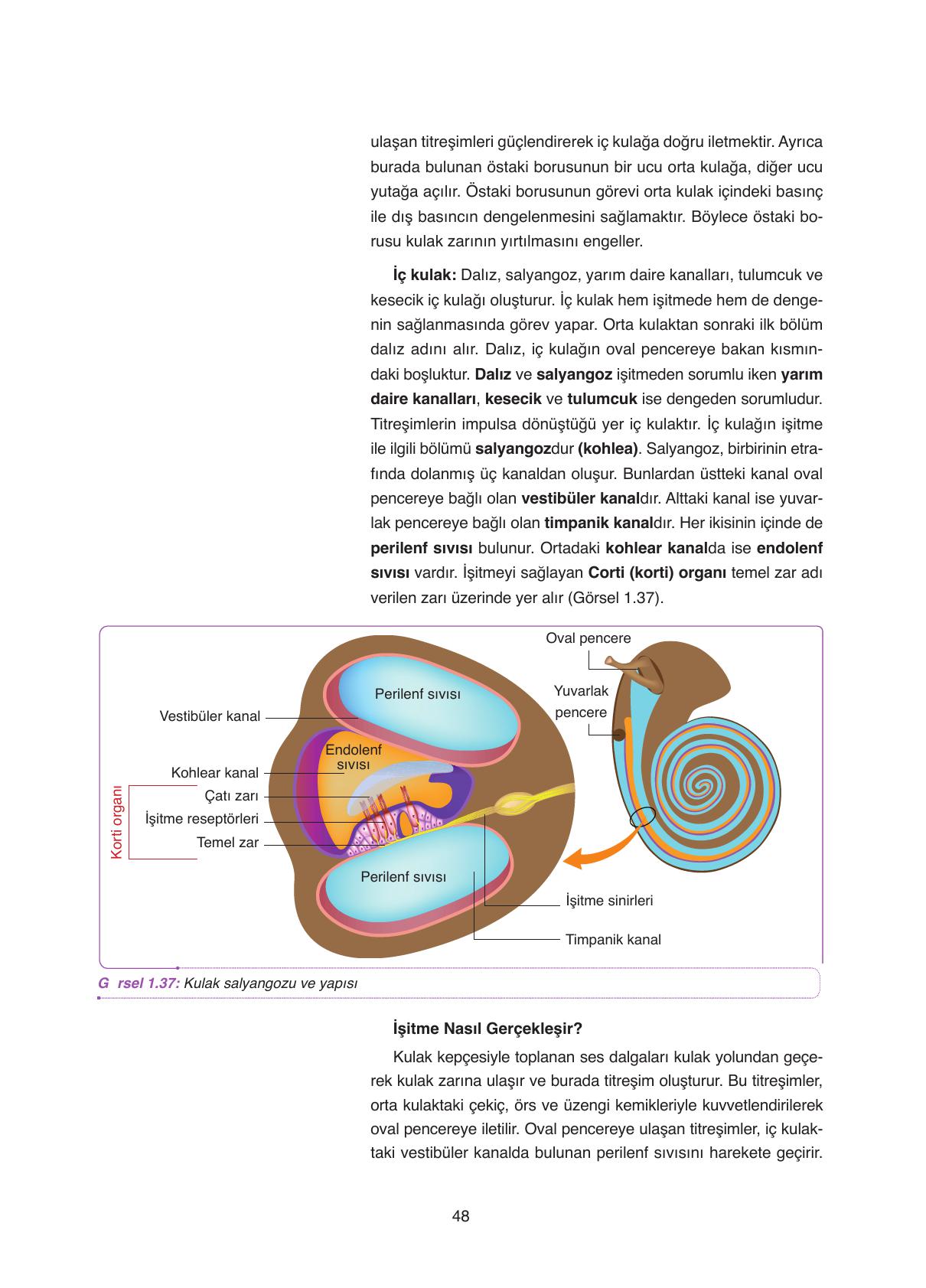 11. Sınıf Tutku Yayıncılık Biyoloji Ders Kitabı Sayfa 48 Cevapları 11. Sınıf Tutku Yayıncılık Biyoloji Ders Kitabı Sayfa 48 Cevapları