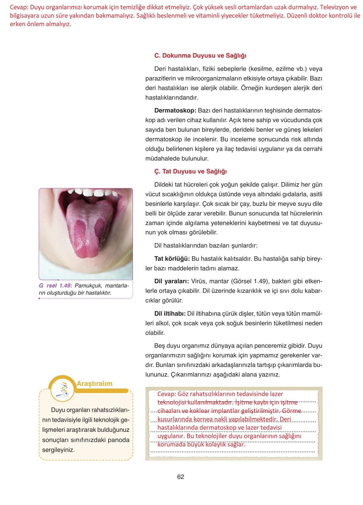 11. Sınıf Tutku Yayıncılık Biyoloji Ders Kitabı Sayfa 62 Cevapları
