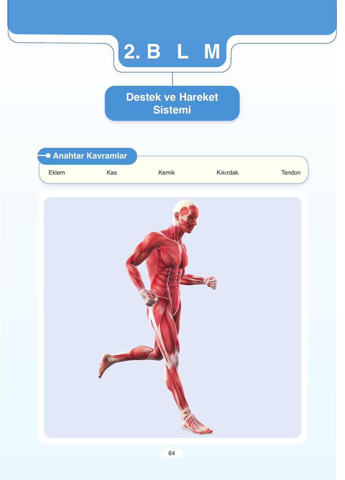 11. Sınıf Tutku Yayıncılık Biyoloji Ders Kitabı Sayfa 64 Cevapları