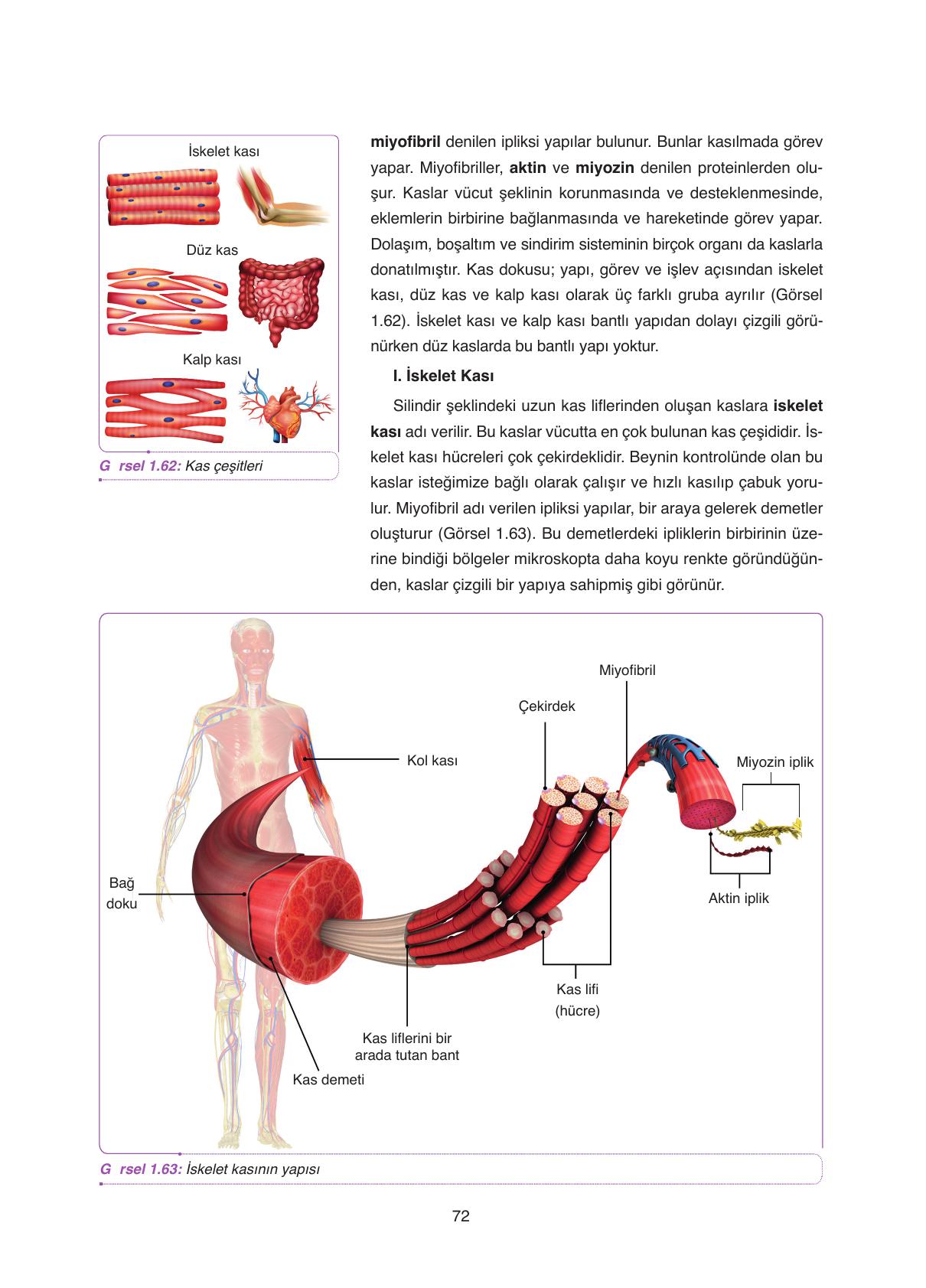 11. Sınıf Tutku Yayıncılık Biyoloji Ders Kitabı Sayfa 72 Cevapları