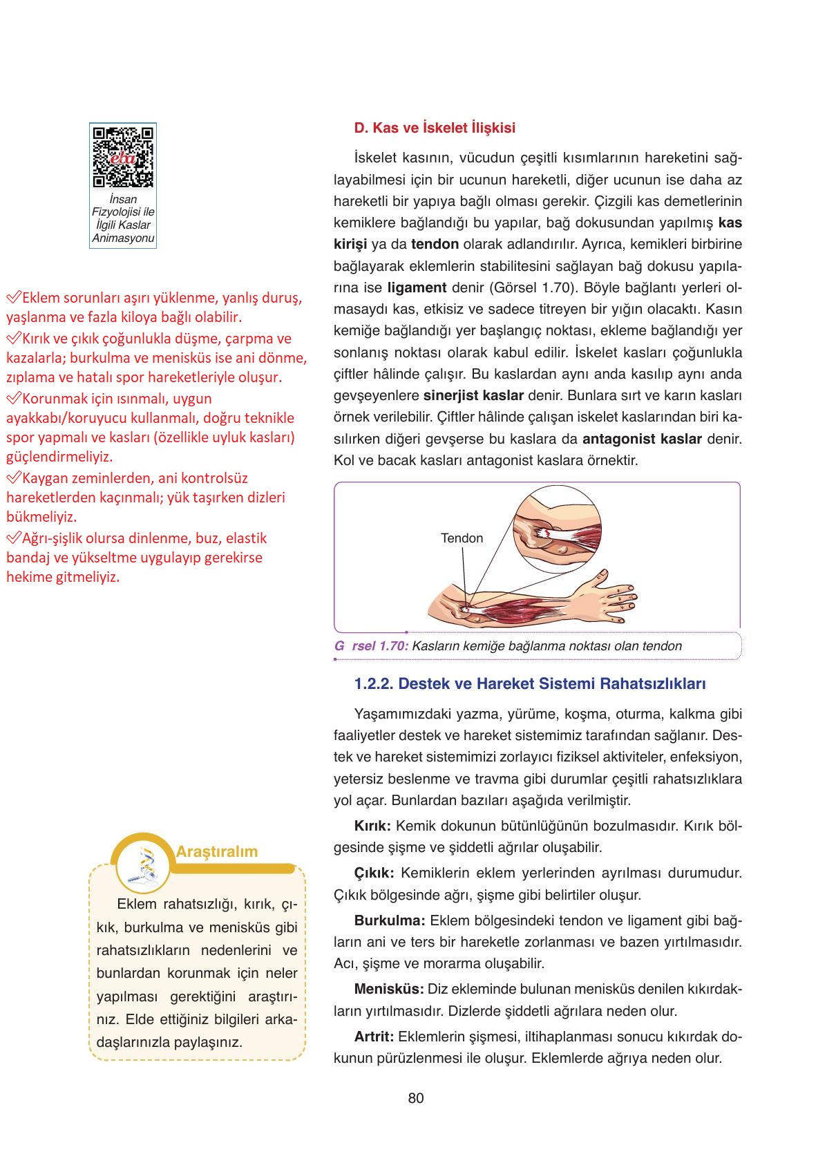 11. Sınıf Tutku Yayıncılık Biyoloji Ders Kitabı Sayfa 80 Cevapları 11. Sınıf Tutku Yayıncılık Biyoloji Ders Kitabı Sayfa 80 Cevapları