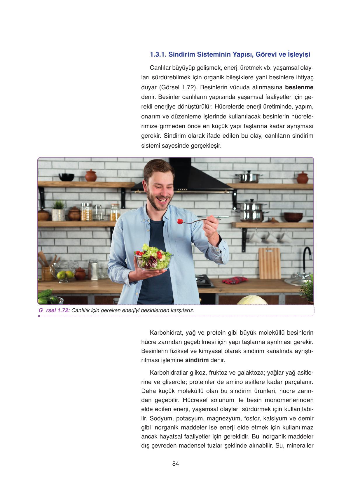 11. Sınıf Tutku Yayıncılık Biyoloji Ders Kitabı Sayfa 84 Cevapları