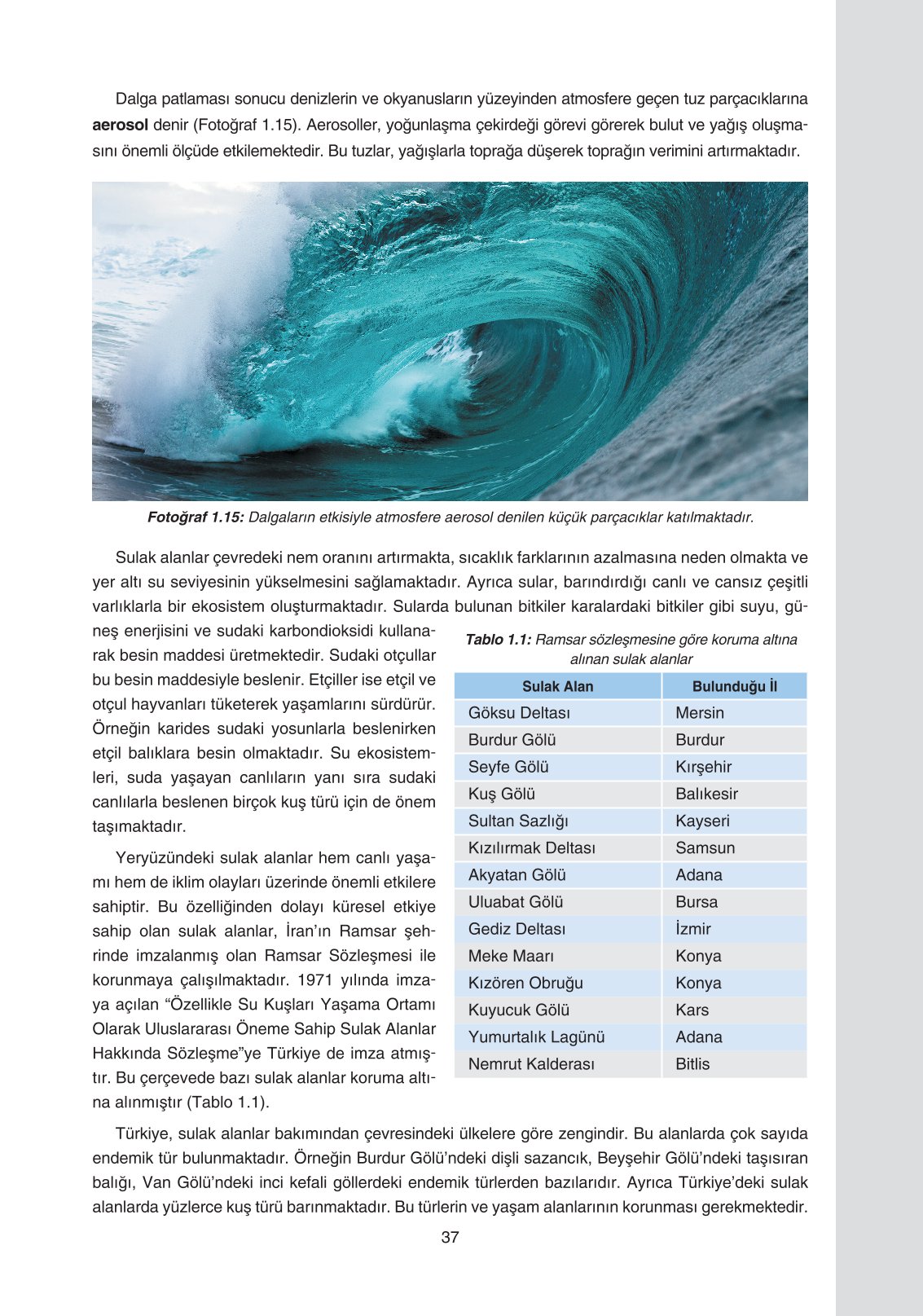 11. Sınıf Yıldırım Yayınları Coğrafya Ders Kitabı Sayfa 37 Cevapları 11. Sınıf Yıldırım Yayınları Coğrafya Ders Kitabı Sayfa 37 Cevapları