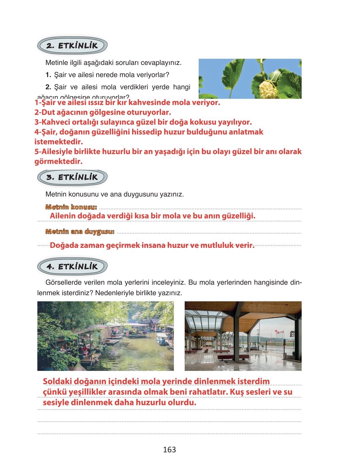 4. Sınıf Ada Yayıncılık Türkçe Ders Kitabı Sayfa 163 Cevapları