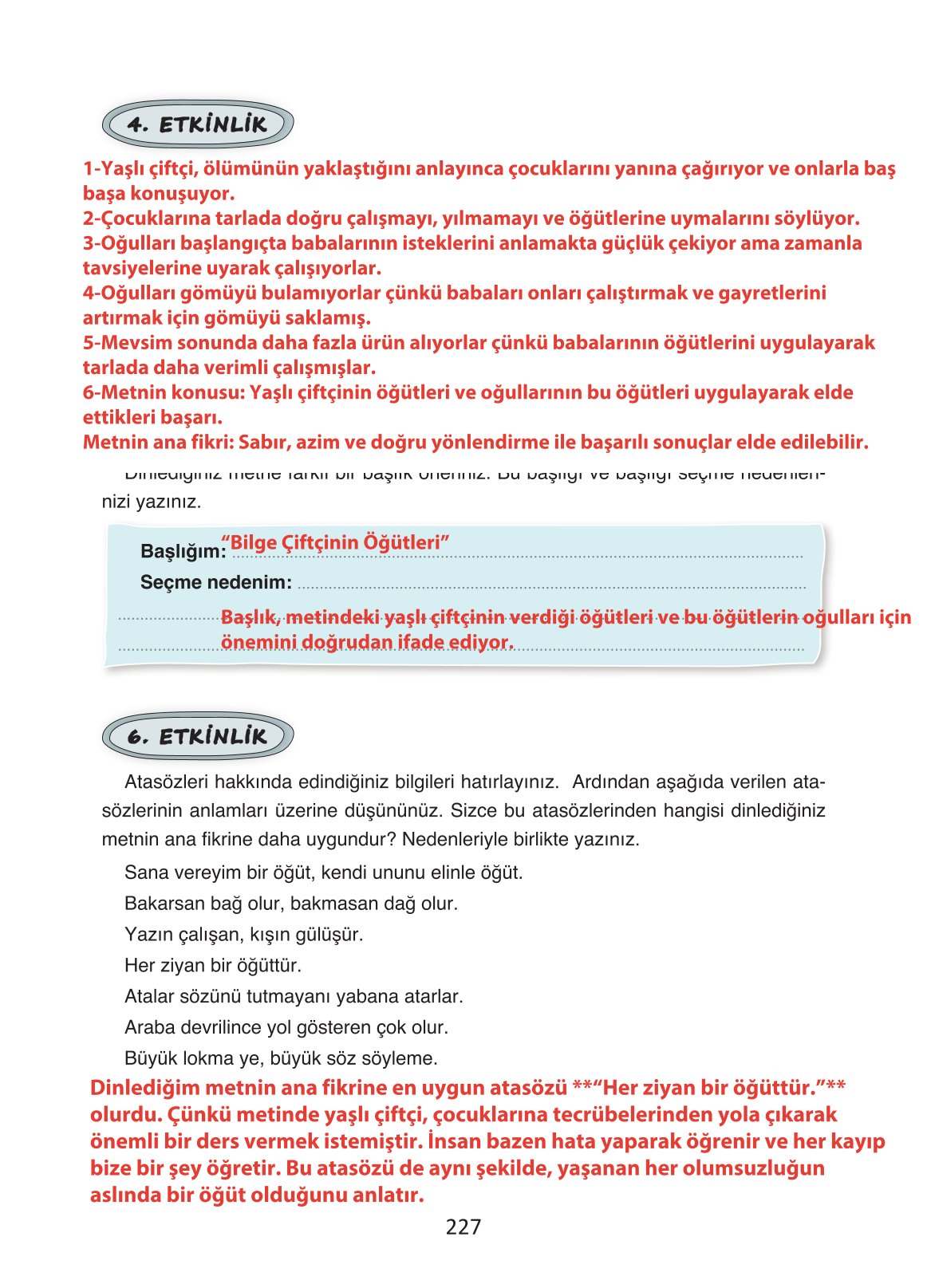 4. Sınıf Ada Yayıncılık Türkçe Ders Kitabı Sayfa 227 Cevapları