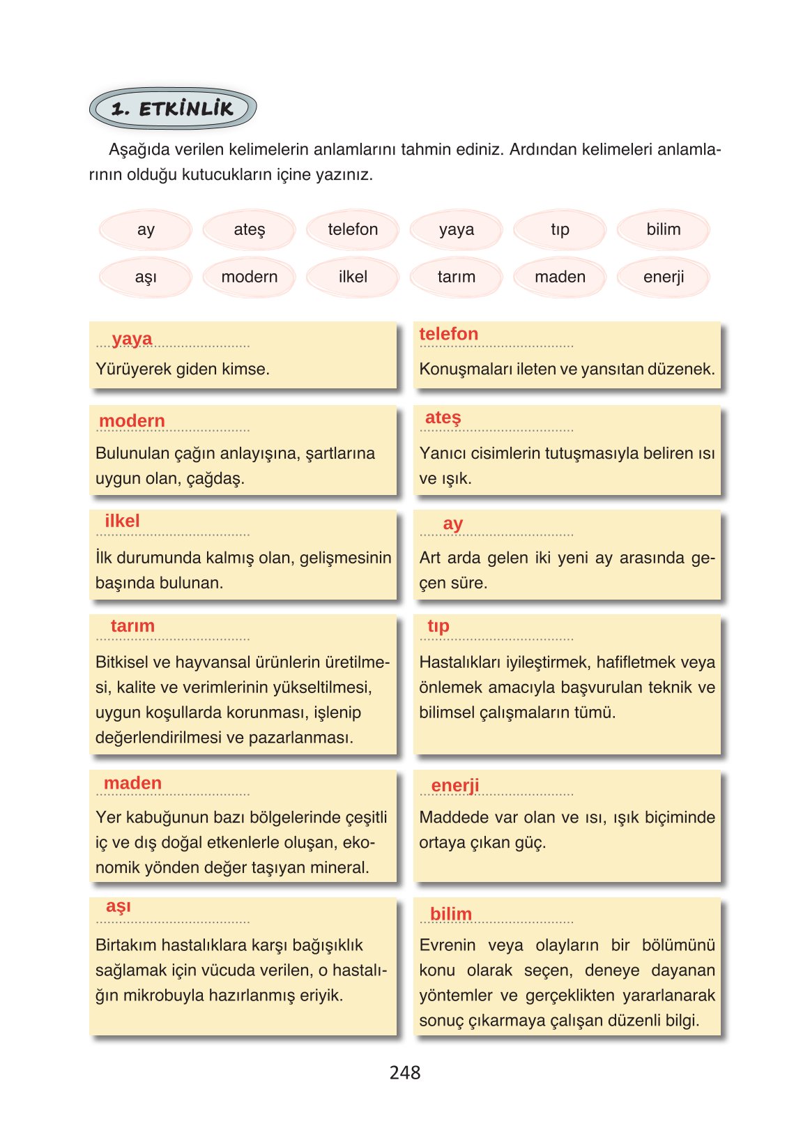 4. Sınıf Ada Yayıncılık Türkçe Ders Kitabı Sayfa 248 Cevapları