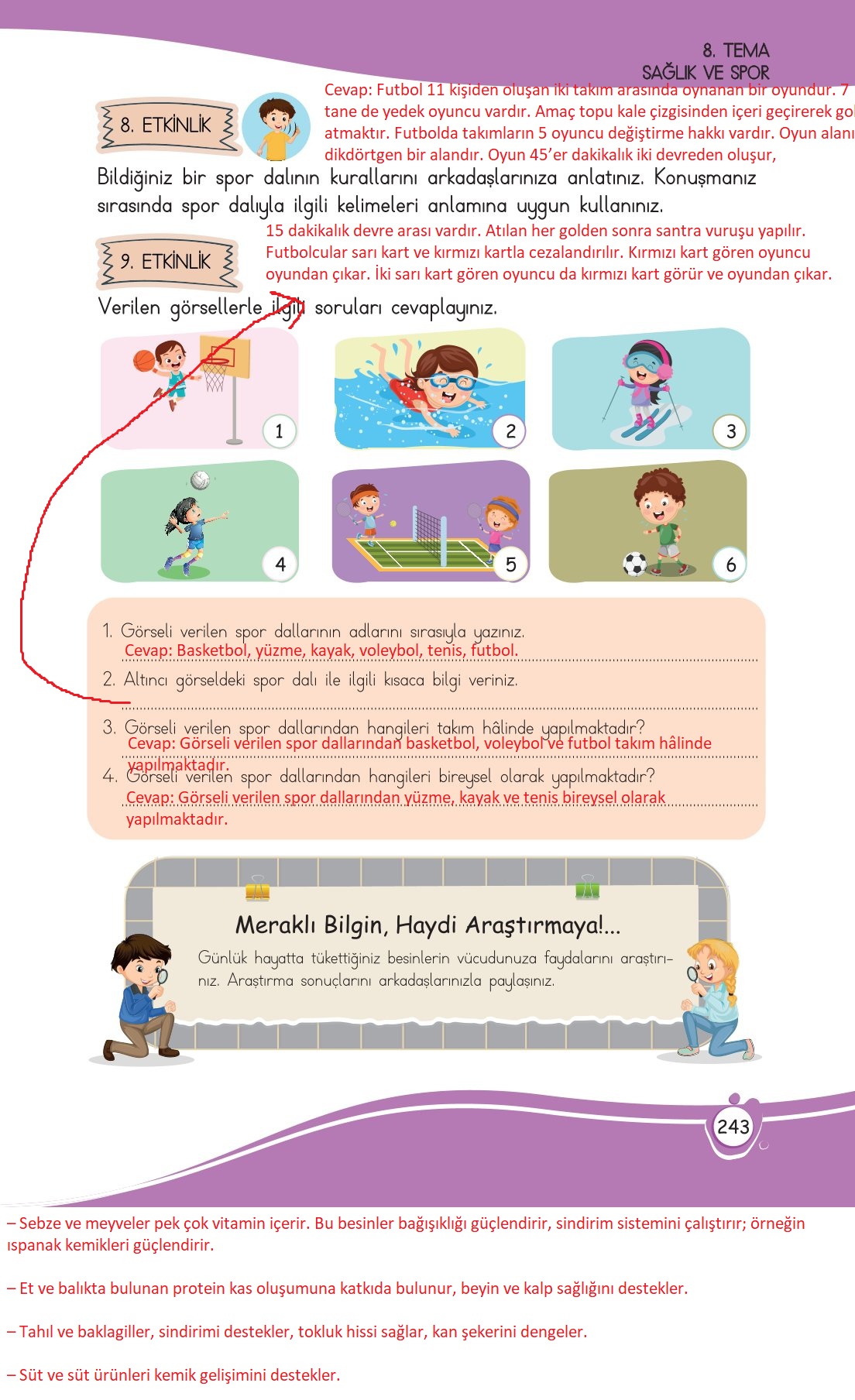 4. Sınıf Meb Yayınları Türkçe Ders Kitabı Sayfa 0243 Cevapları